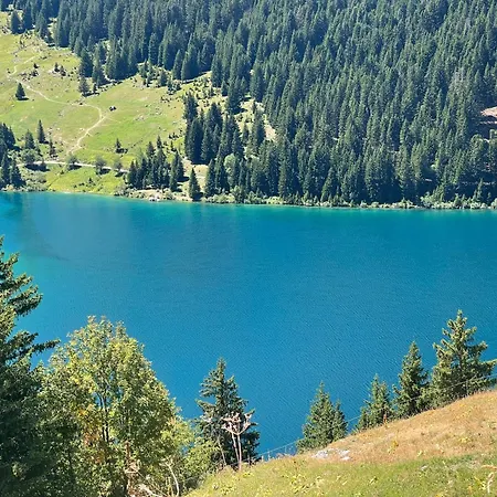 Les Loups Blancs Куршавель