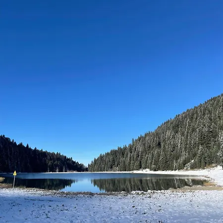 Les Loups Blancs Appartement Courchevel