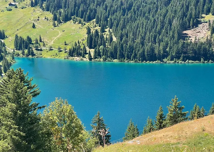 Les Loups Blancs كورشوفيل