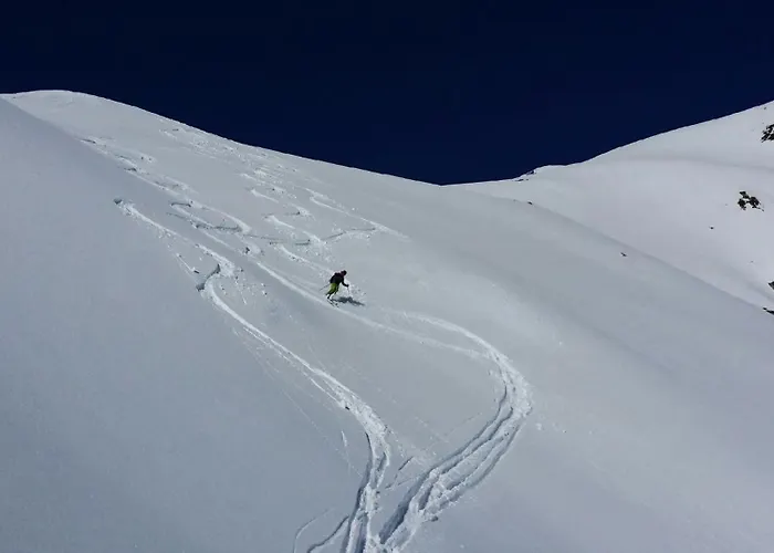 Les Loups Blancs شقة كورشوفيل