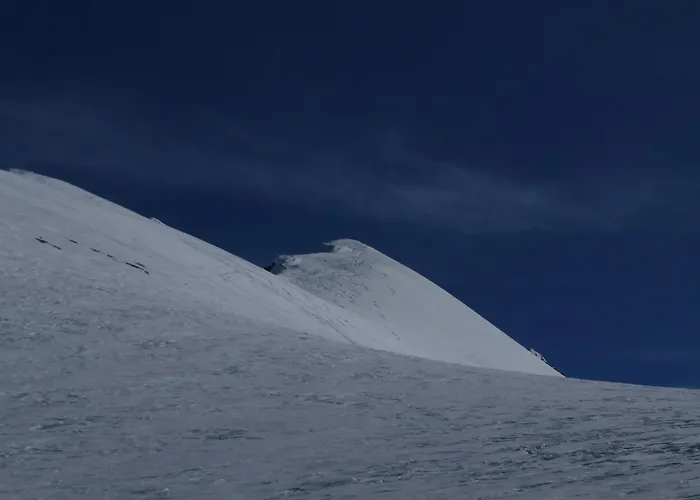 Les Loups Blancs كورشوفيل