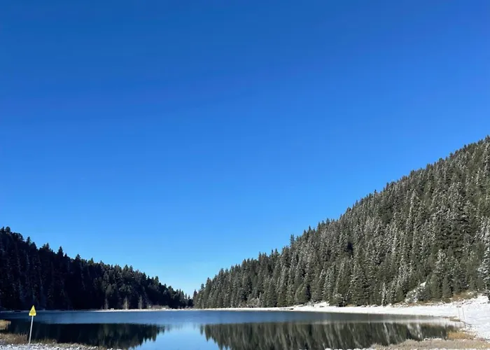 Les Loups Blancs شقة كورشوفيل