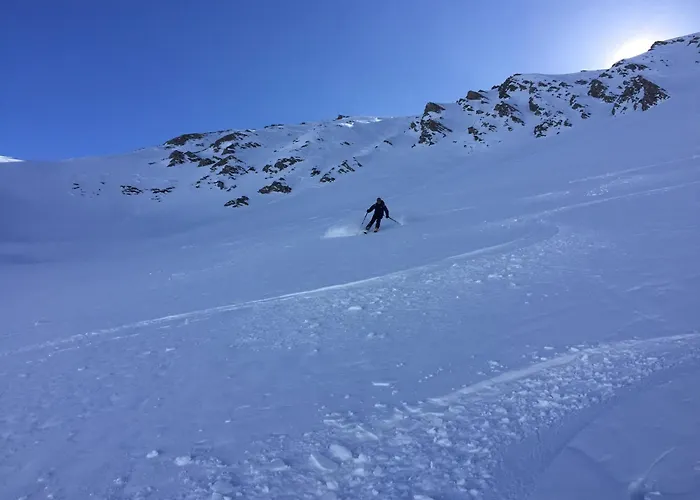 Les Loups Blancs 아파트